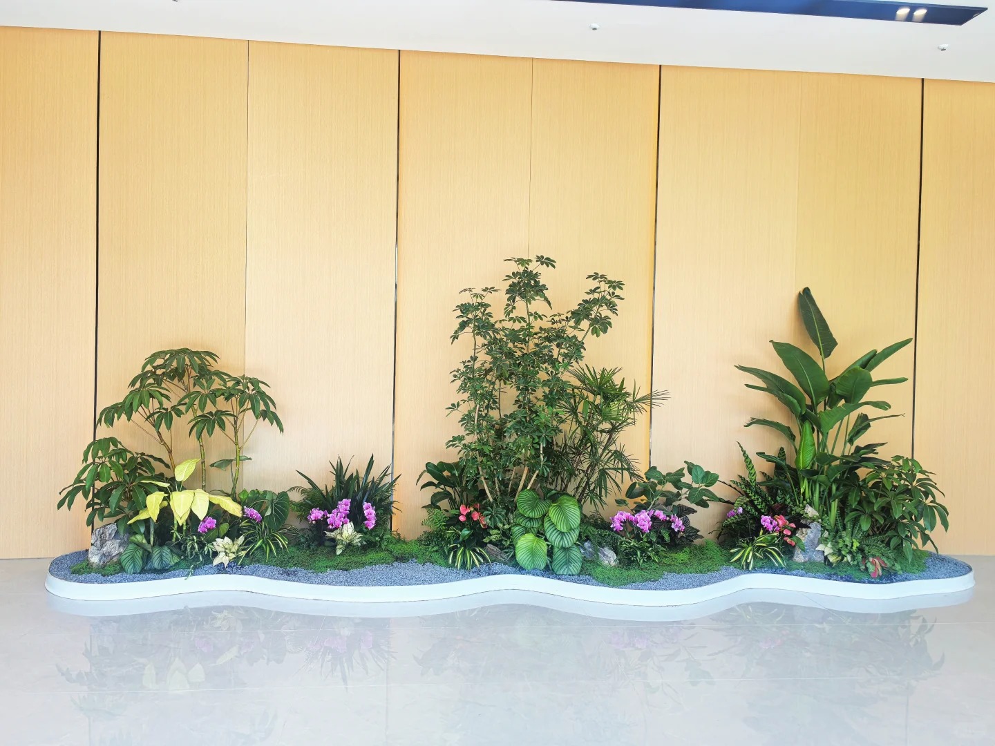 价格超实惠的花木租摆,就在宁波余姚!