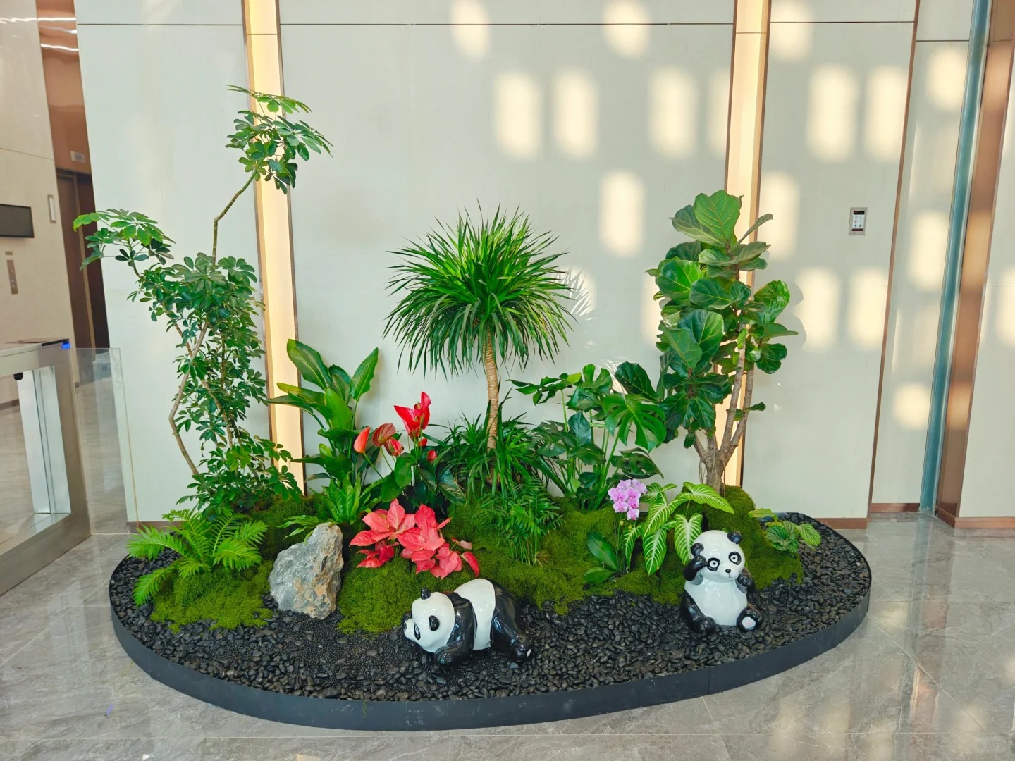 专业植物租赁,宁波鄞州的绿色优选