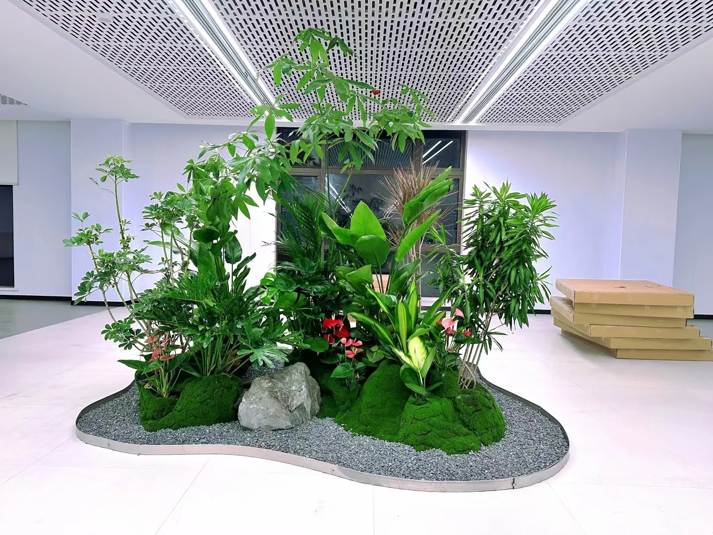 专业花木租赁在宁波,为您营造清新环境