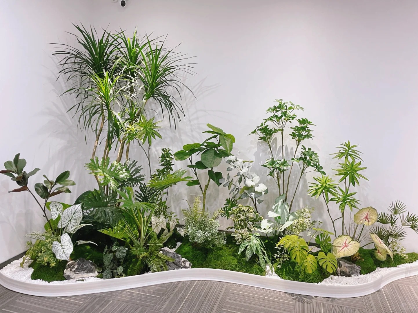 专业奉化植物租摆,让绿植点亮您的世界